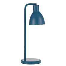 Pivot Iron Gooseneck Desk Lamp